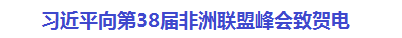 38届非洲联盟峰会.png